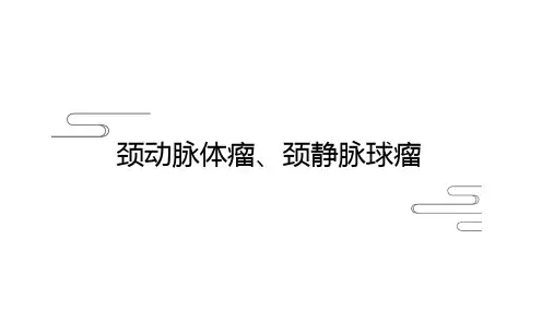 颈动脉体瘤、颈静脉球瘤