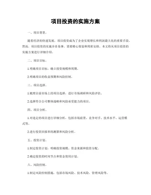 项目投资的实施方案