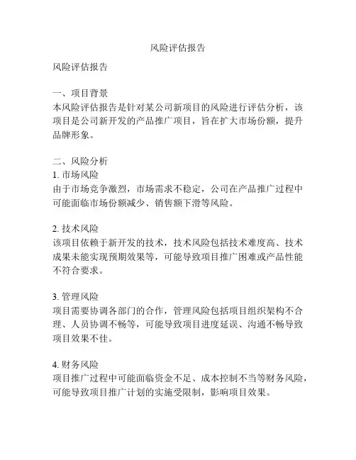 风险评估报告