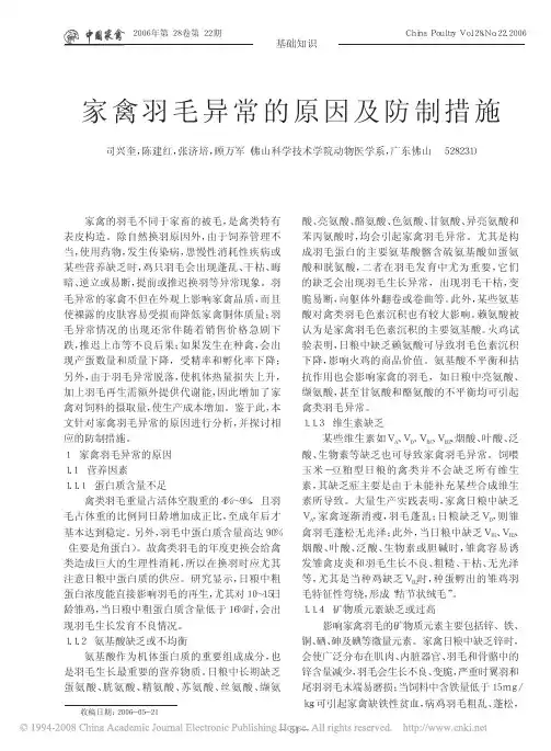 家禽羽毛异常的原因及防制措施