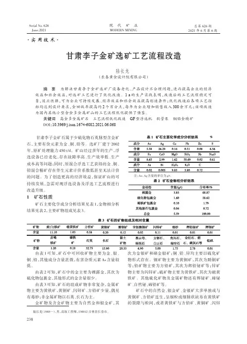 甘肃李子金矿选矿工艺流程改造
