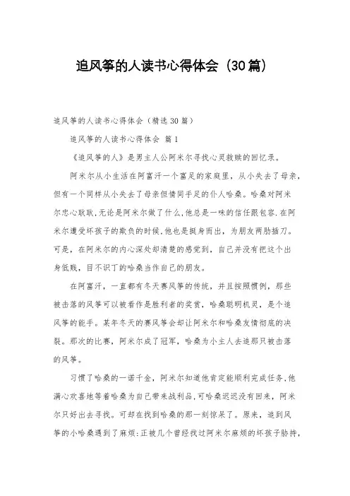 追风筝的人读书心得体会(30篇)
