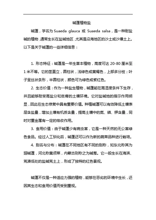 碱蓬植物盐