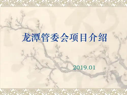四川成都龙潭总部基地管委会项目推介(介绍)-PPT精选文档