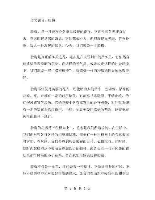 腊梅的学生作文范文