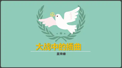 《大战中的插曲》课件46张+2022-2023学年统编版高中语文选择性必修上册