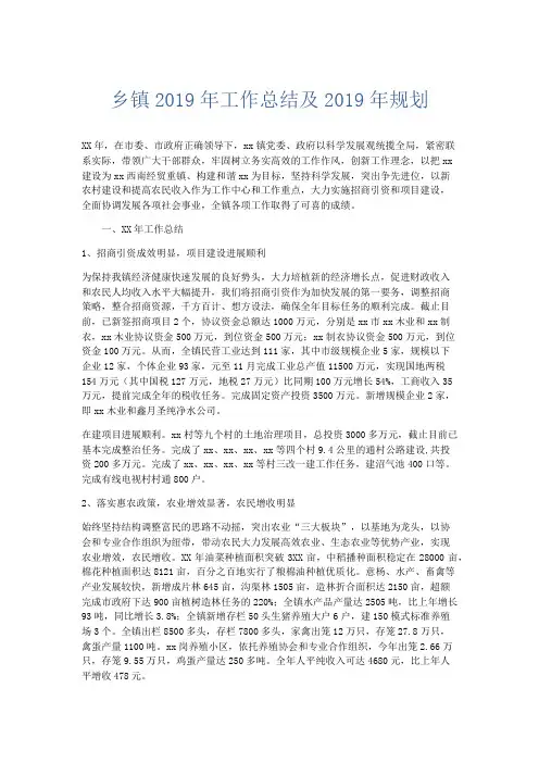 工作总结-乡镇2019年工作总结及2019年规划 精品