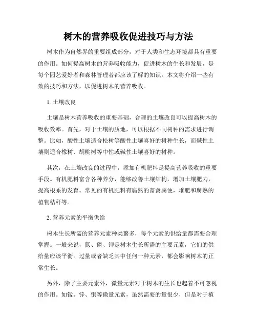 树木的营养吸收促进技巧与方法