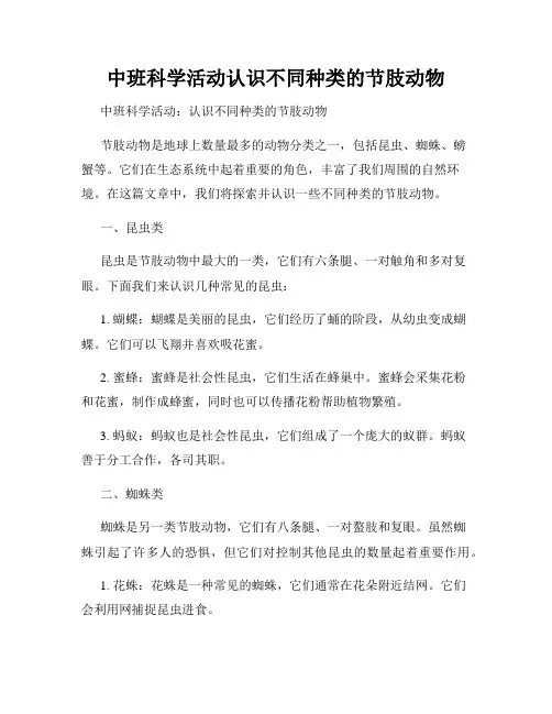 中班科学活动认识不同种类的节肢动物