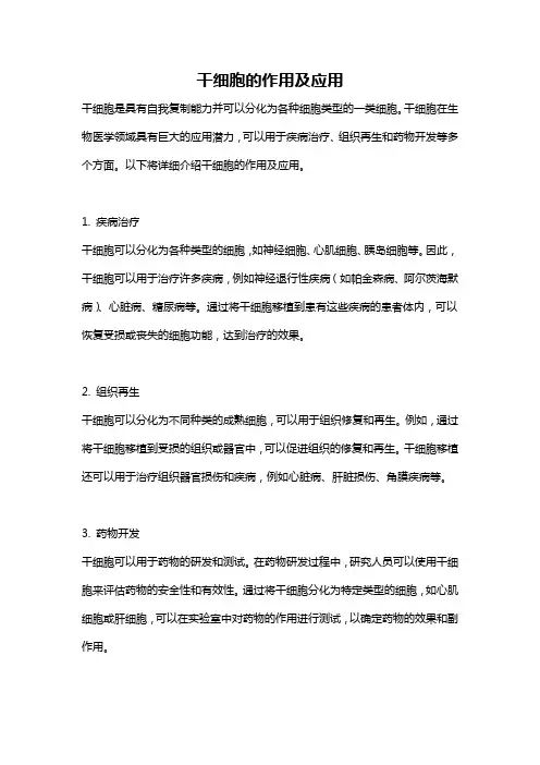 干细胞的作用及应用