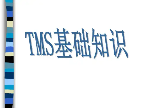 TMS 基础理念