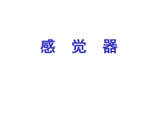人体解剖学课件——感觉器