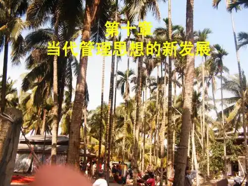 管理思想史第10章