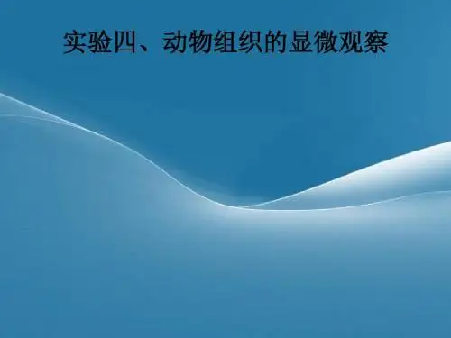 动物组织的观察