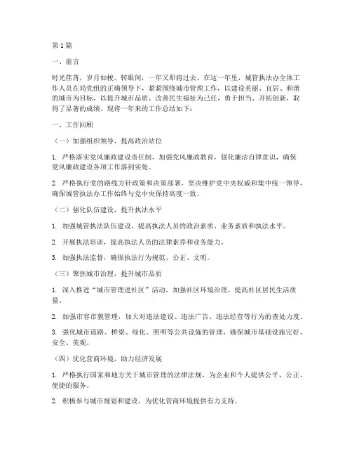 城管执法办年度总结(3篇)