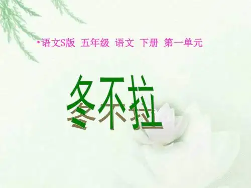 3《冬不拉》PPT