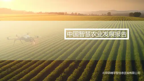 中国智慧农业发展报告