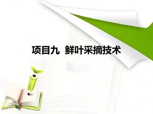 茶树生物学基础