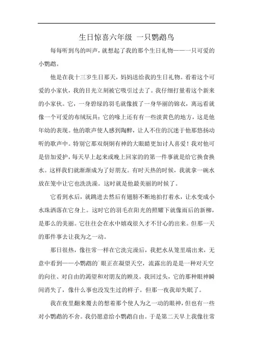 生日惊喜六年级 一只鹦鹉鸟