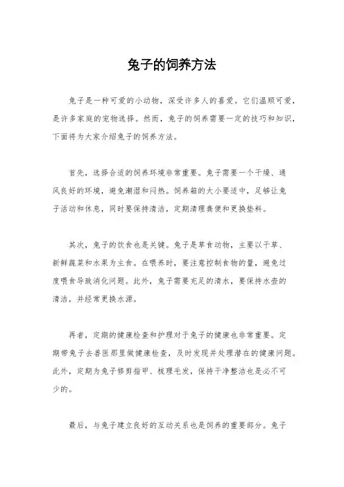 兔子的饲养方法