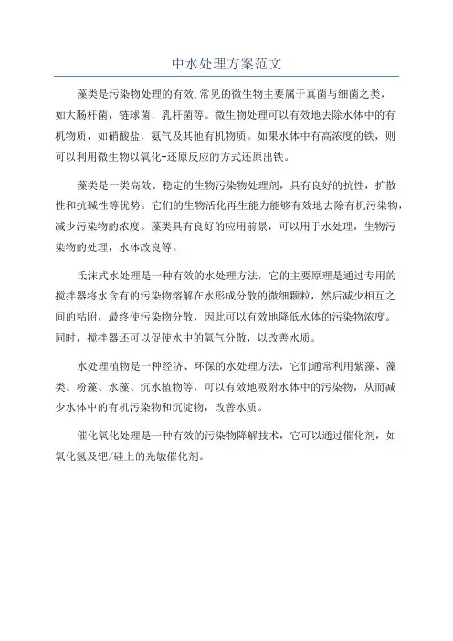 中水处理方案范文