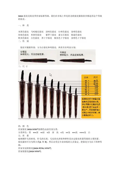 SAGA分类标准