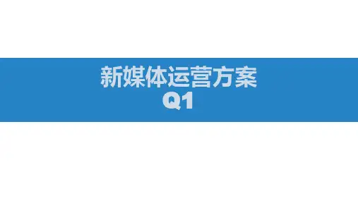 新媒体运营方案