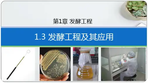 1-3 发酵工程及其应用(教学课件)——高中生物人教版(2019) 选择性必修3
