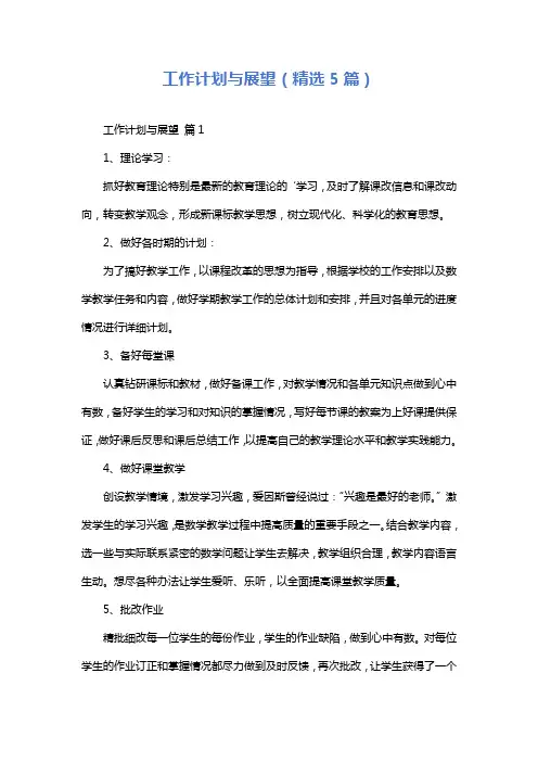 工作计划与展望(精选5篇)