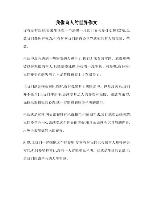 我像盲人的世界作文