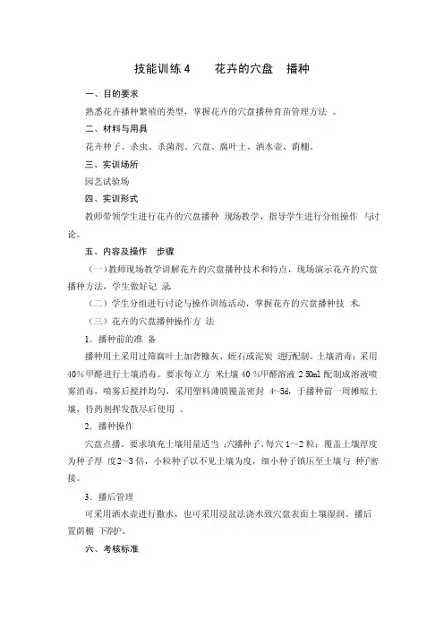 花卉的穴盘播种
