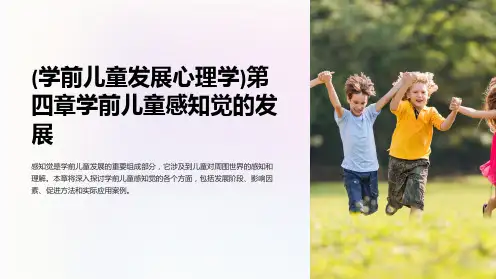 (学前儿童发展心理学)第四章学前儿童感知觉的发展
