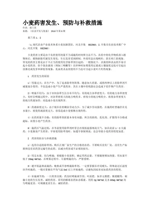 小麦药害发生、预防与补救措施