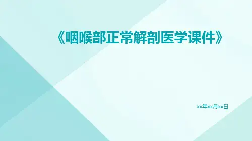咽喉部正常解剖医学课件