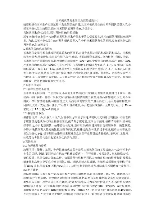 玉米倒伏的发生原因及预防措施(一)