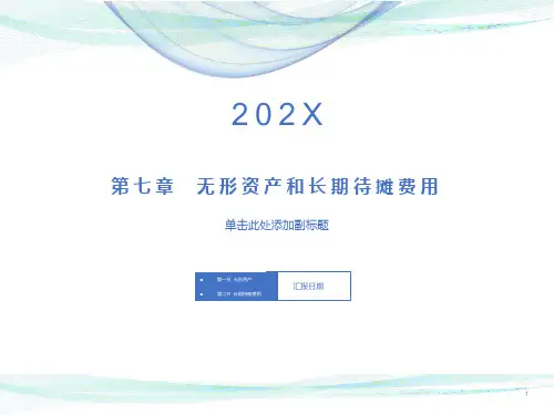 无形资产和长期待摊费用