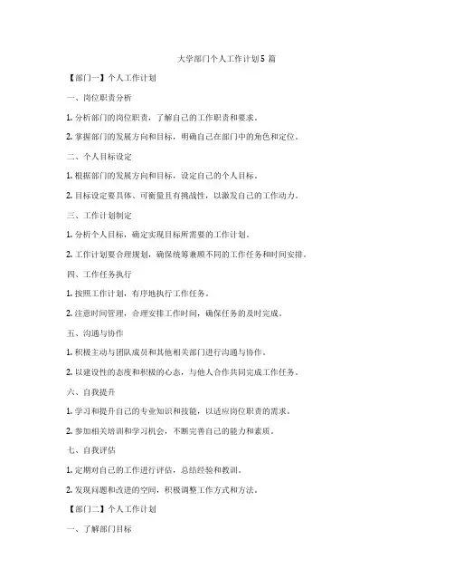 大学部门个人工作计划5篇