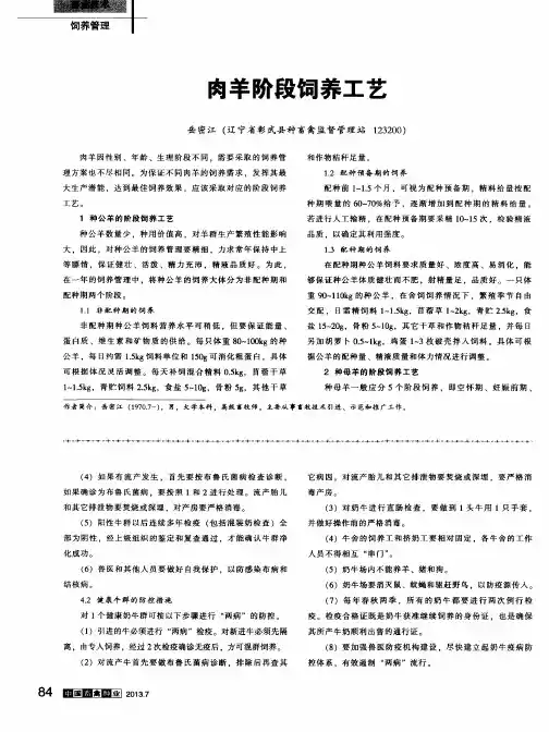 肉羊阶段饲养工艺
