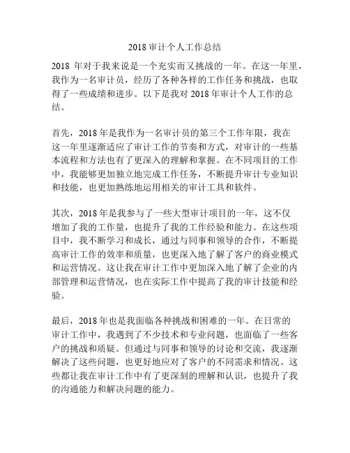 2018审计个人工作总结