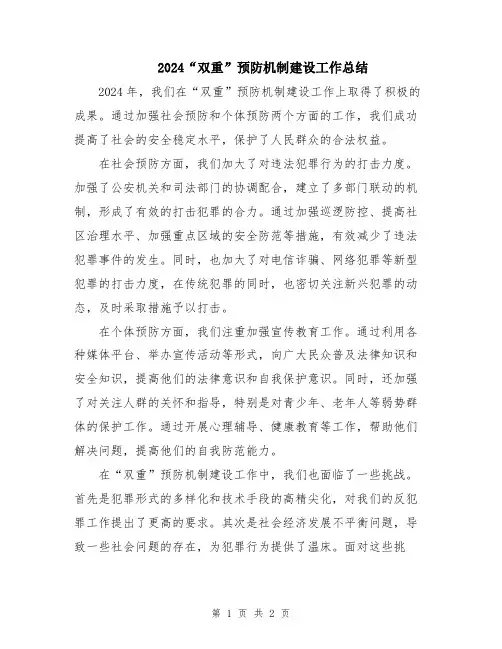 2024“双重”预防机制建设工作总结