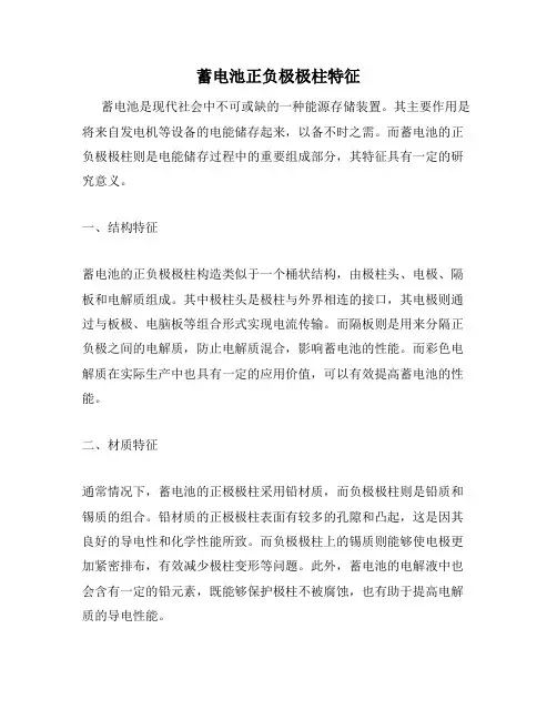 蓄电池正负极极柱特征