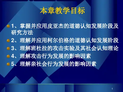 第九章儿童道德的发展ppt课件