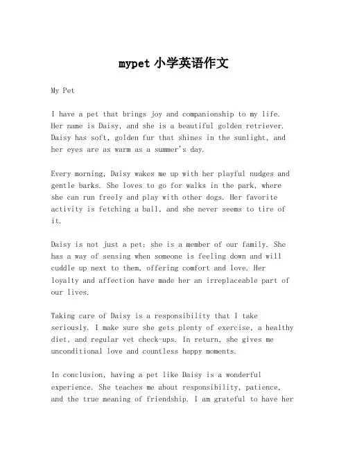 Mypet小学英语作文