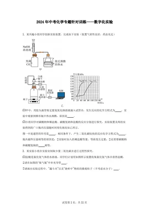2024年中考化学专题针对训练——数字化实验