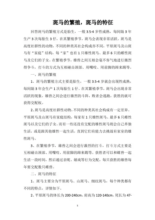 斑马的繁殖,斑马的特征