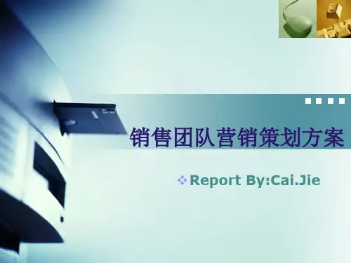 营销策划方案ppt