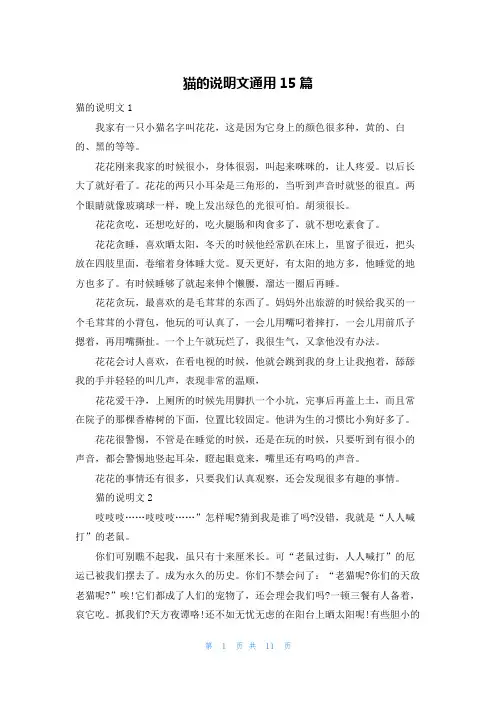 猫的说明文通用15篇