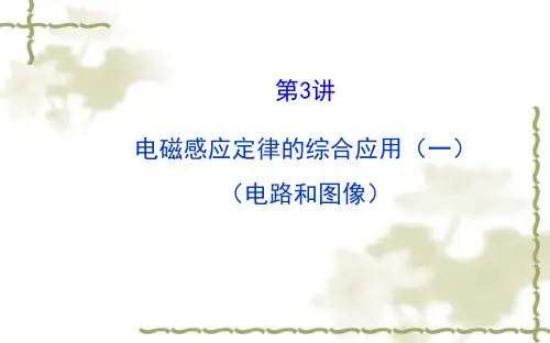 高考物理一轮复习《电磁感应定律的综合应用(一)》ppt课件