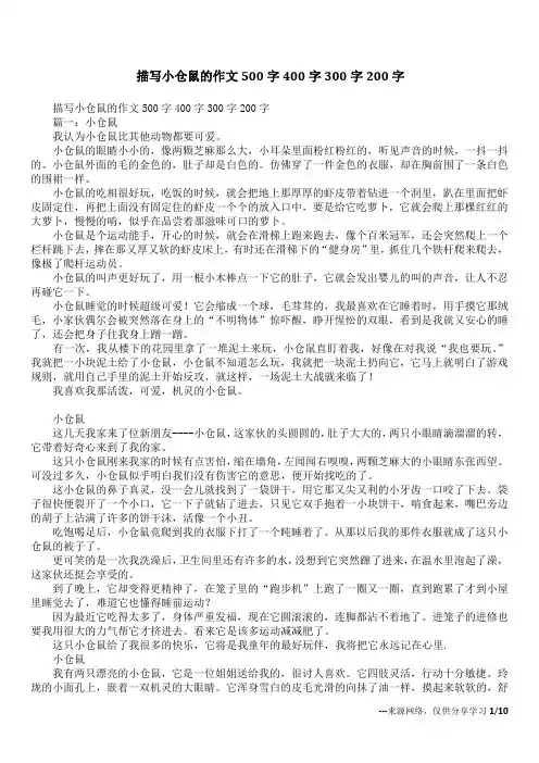 描写小仓鼠的作文500字400字300字200字
