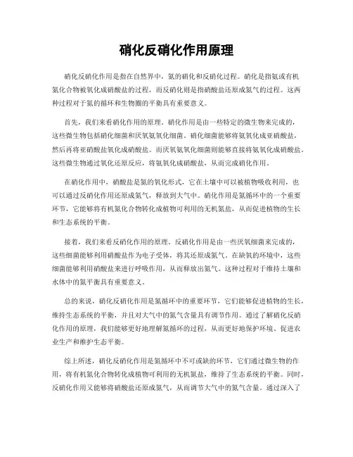 硝化反硝化作用原理